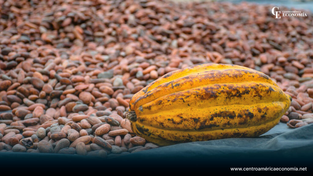 El cacao salvadoreño se destaca ganando dos medallas en competencia internacional