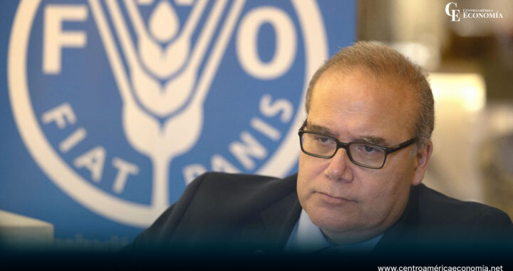 El economista jefe de la Organización de Naciones Unidas para la Agricultura y Alimentación (FAO), Máximo Torero, habla durante una entrevista con EFE el 9 de abril de 2024 en Ciudad de Guatemala (Guatemala). EFE